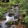 09 b Schluchensteig Etappe 4 - 6